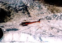 �X�͏�ɒ��������w���R�v�^�[