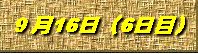 9月16日(6日目)